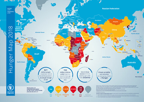2018 - Hunger Map | World Food Programme