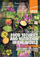 Cover image of the SOFI Report 2020